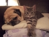 2006_1217dec180108.JPG