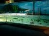 P1040029.JPG